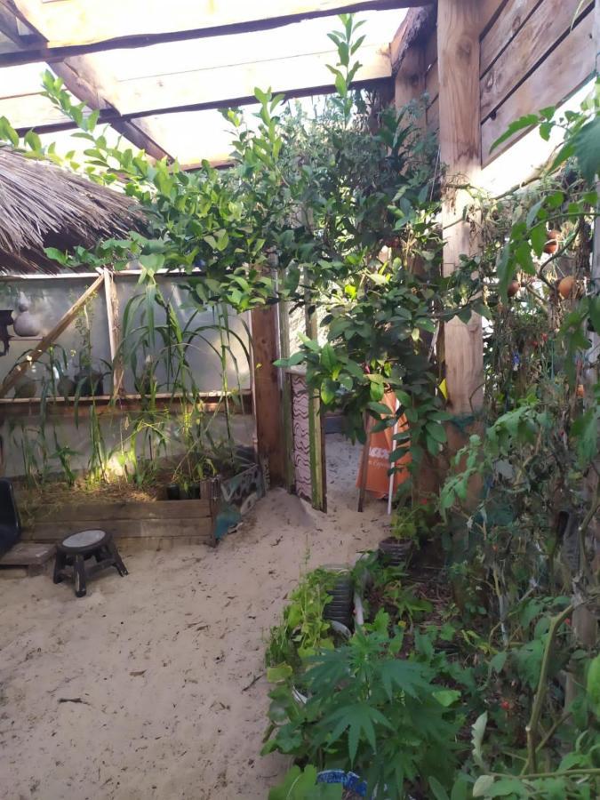 Casa Candombe Y Mar Barra de Valizas Exteriér fotografie